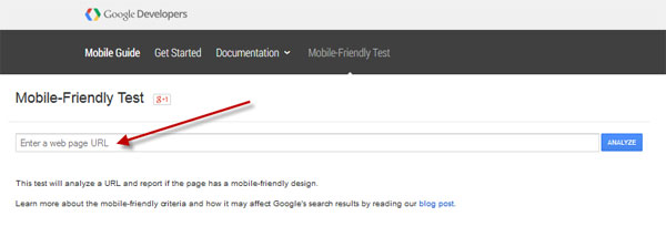 Google Mobile Friendliness Test Tool